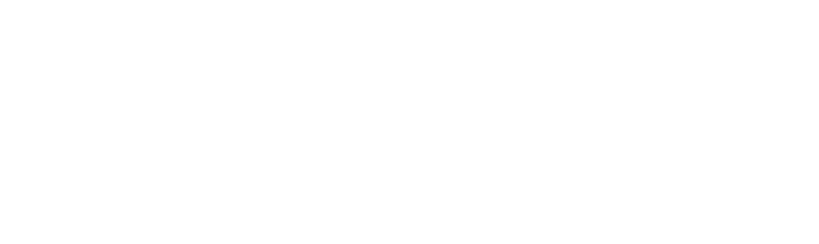 logo EVX white